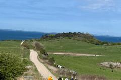 IMG_20250426_155251