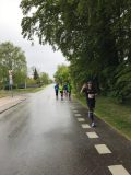 Røsnæsløbet-2019