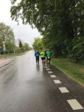Røsnæsløbet-2019