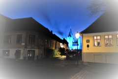Diabetesløb-2019-11