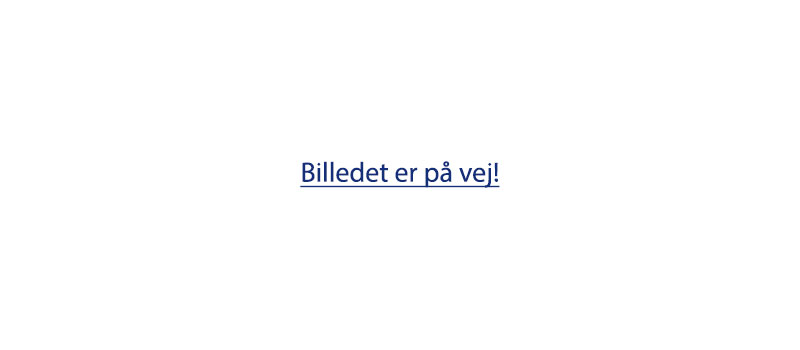 HOLD 0 (Begynderhold Fortsat)